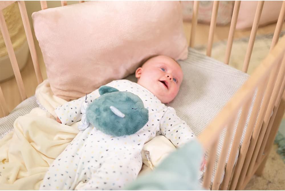 Peluche pequeño Pez de Kaloo | De Cáscara de Nuez | emociones, vínculo afectivo, autonomía, juego libre