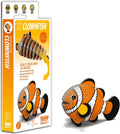 037 EUGY Clownfish | De Cáscara de Nuez | concentración, creatividad, motricidad fina, sostenibilidad