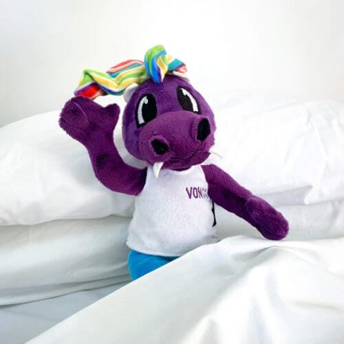 Peluche Vonco de AOEX | De Cáscara de Nuez | producto solidario, peluche de compañía, bebés, habilidades sociales, empatía, emociones. 