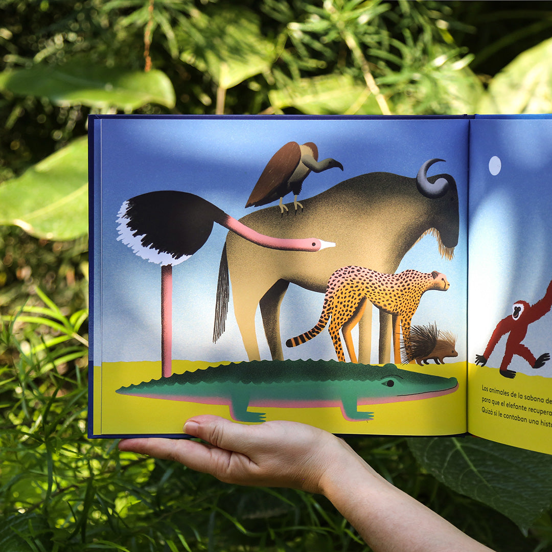 El Elefante en la sombra. Editorial Libros del Zorro Rojo | De Cáscara de Nuez | empatía, respeto, habilidades sociales, emociones
