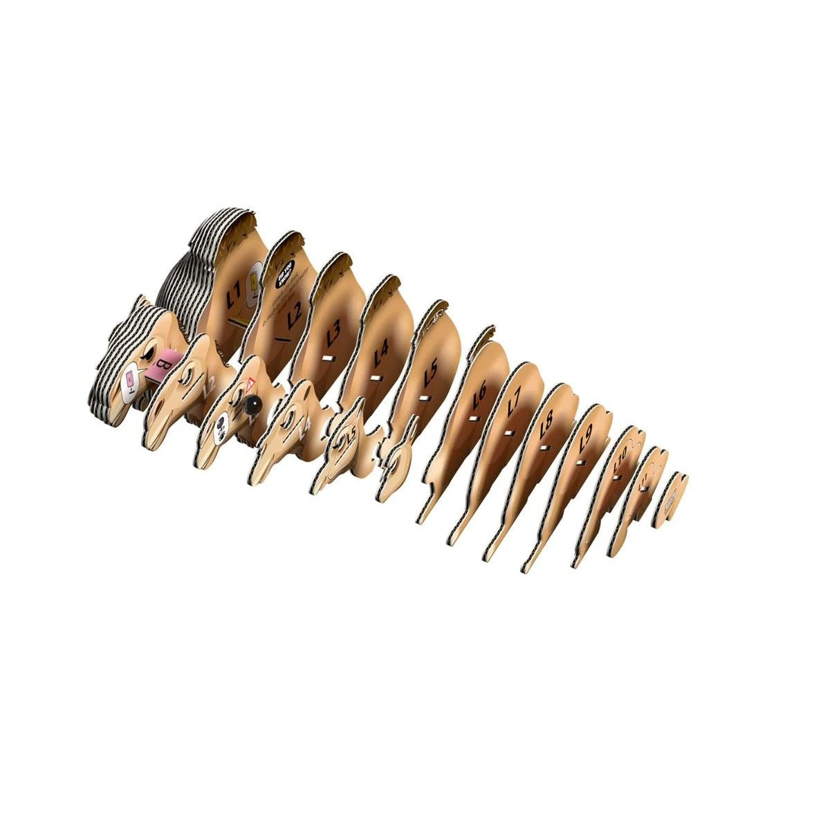 136 EUGY Camel – Figura 3D de cartón reciclable | De Cáscara de Nuez | manualidades, motricidad fina, concentración, montaje, juguete ecológico, coleccionable