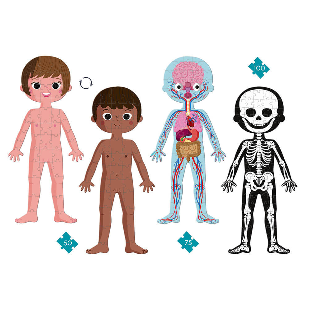 Puzzle Cuerpo Humano de Janod | De Cáscara de Nuez | estimulación cognitiva, respeto, concentración, lenguaje