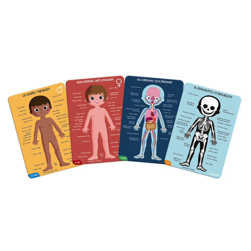 Puzzle Cuerpo Humano de Janod | De Cáscara de Nuez | estimulación cognitiva, respeto, concentración, lenguaje