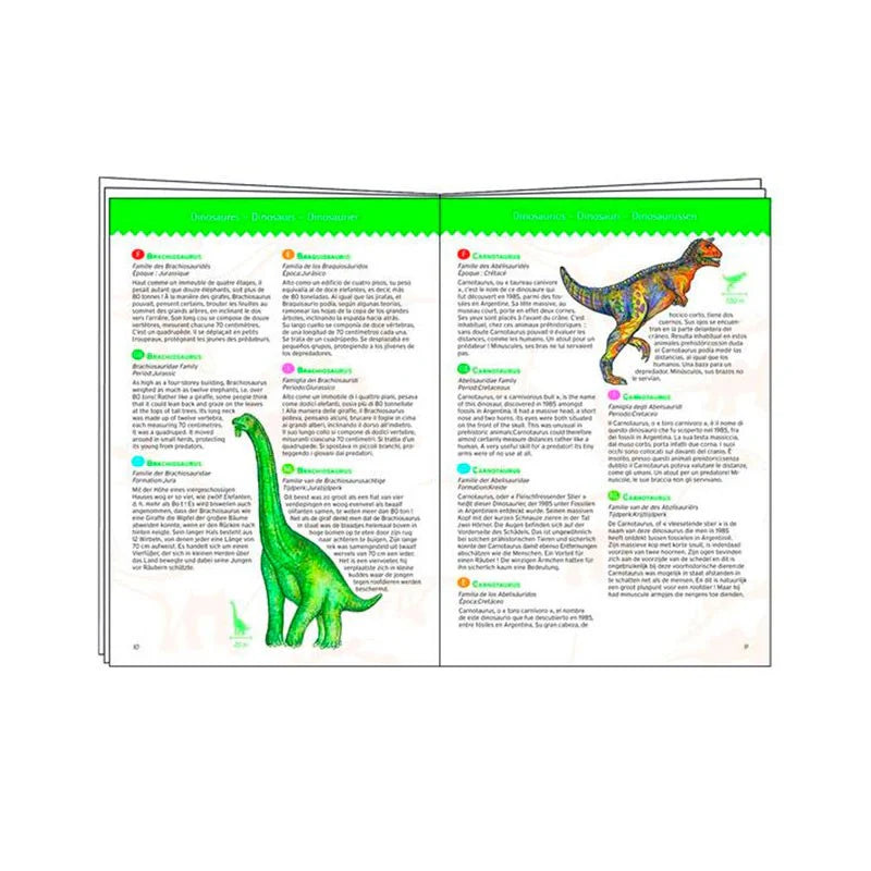 Puzzle Observación Dinosaurios de Djeco | De Cáscara de Nuez | concentración, respeto, atención, estimulación cognitiva